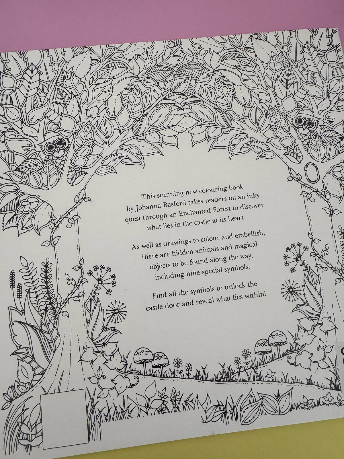 Libro de colorear Brena Enchanted Forest con ilustraciones detalladas de bosque, animales y símbolos mágicos
